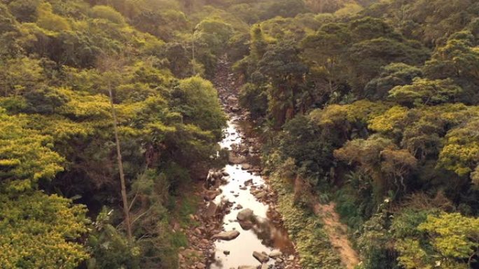 鸟瞰河在森林美丽的无人机飞行穿过绿色雨林丛林未触及的自然景观自然保护4k