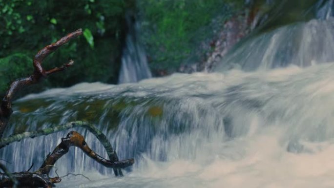 马达加斯加雨林中的美丽瀑布