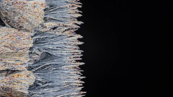 偏光显微镜下碳酸盐的结晶像蛇一样蜿蜒