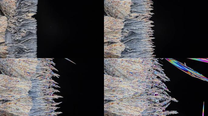 偏光显微镜下碳酸盐的结晶像蛇一样蜿蜒