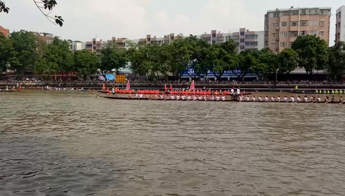 传统节日文化活动 端午赛龙舟