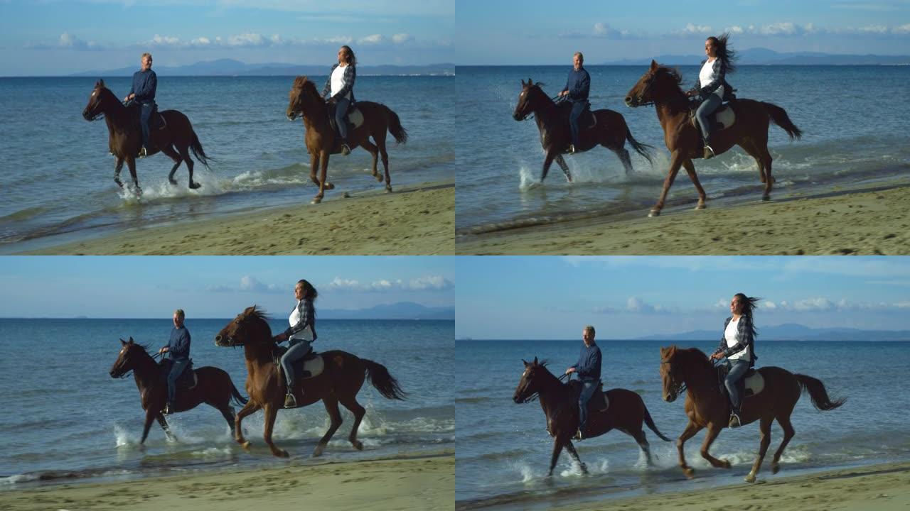 一个快乐的女人和男人骑着奔腾的马在海边的肖像，背景是明亮的蓝天。马术夫妇交谈，享受他们的爱好，自然和
