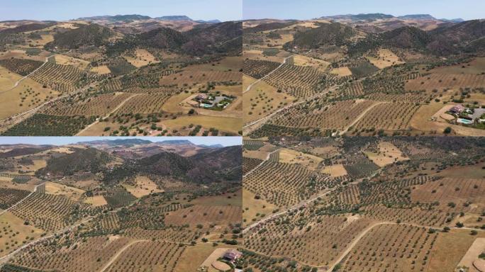 西班牙的乡村。农业丘陵。鳄梨树，橙树。