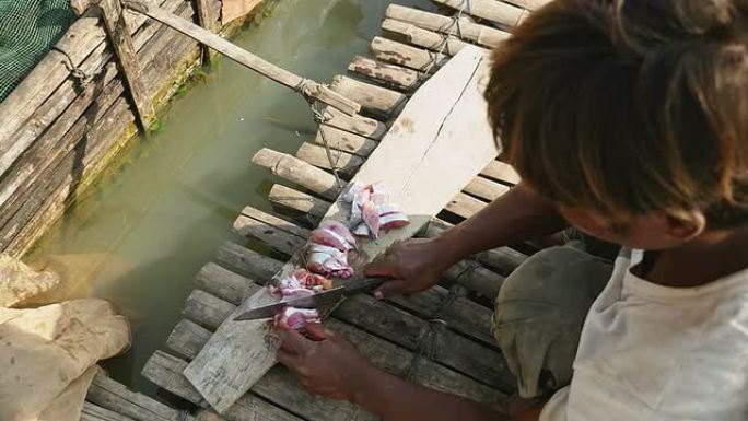 鱼农在固定在船屋的竹制板条箱中切碎鱼以喂鱼