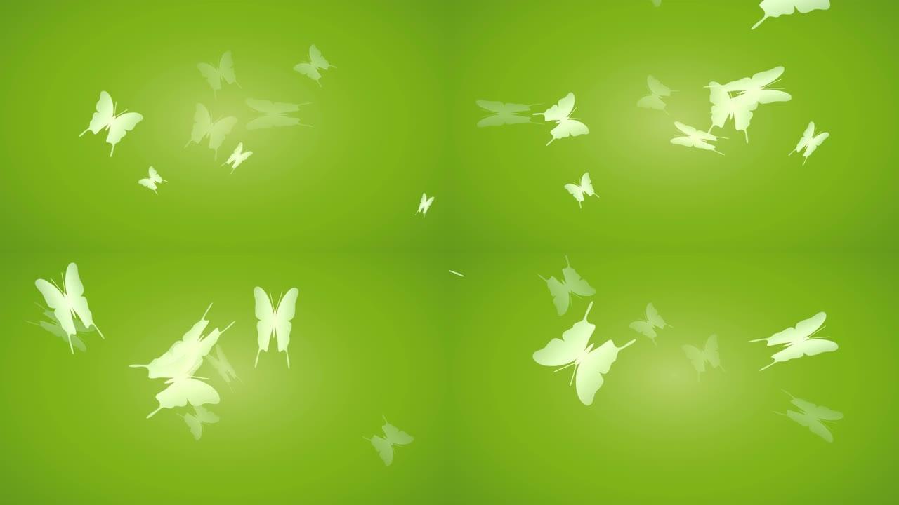 春天。绿色背景上的白色飞蝶。动画抽象插图。无缝回路