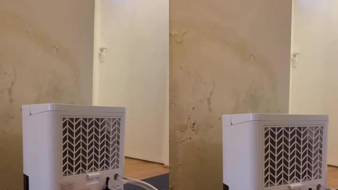 潮湿损坏的墙壁。除湿机和碗向上倾斜。
