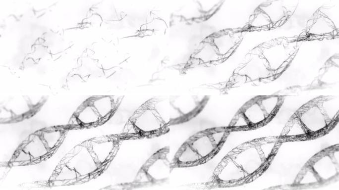 DNA结构螺旋科学技术转基因