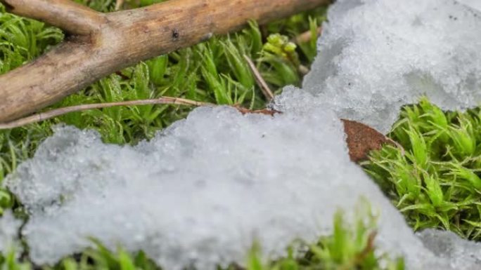 闪亮融化的雪粒的宏观延时拍摄