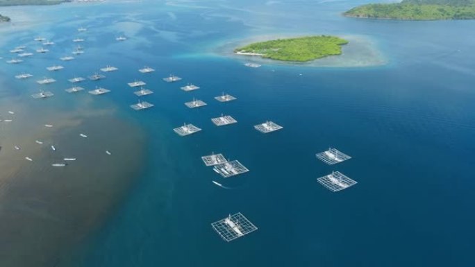松巴哇岛海洋中的渔船。鸟瞰图。