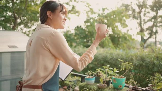 快乐的年轻女主人在温室里工作，温室里有美丽的盆花和室内植物。小企业概念。可持续的生活方式。