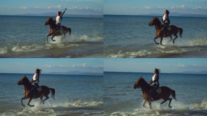 一个穿着便装的美丽幸福女人的肖像骑着奔腾的马在海边，背景是明亮的蓝天。女性马术享受自由和清新的微风