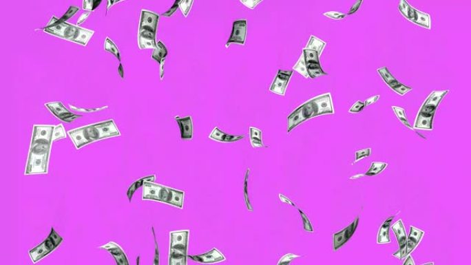 紫色背景上的100美元钞票。雨效应。3D动画钱雨，商业动画钱，效果制作背景。