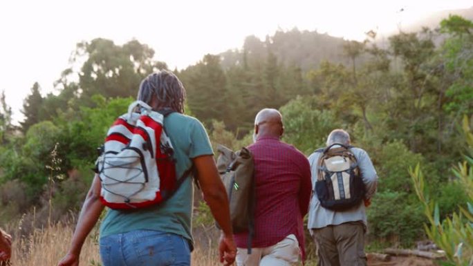 多文化团体的高级朋友享受徒步旅行通过农村一起后视图