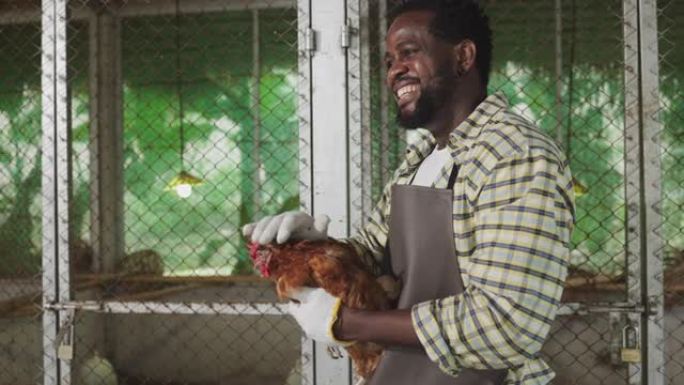 一名非洲男性农民温柔地抱着一只鸡说话