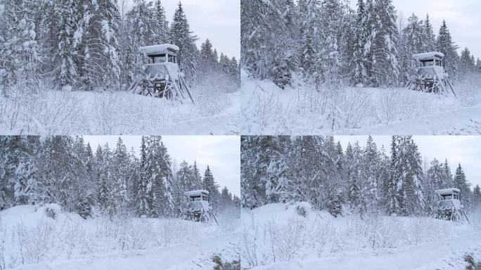 瑞典的冬天