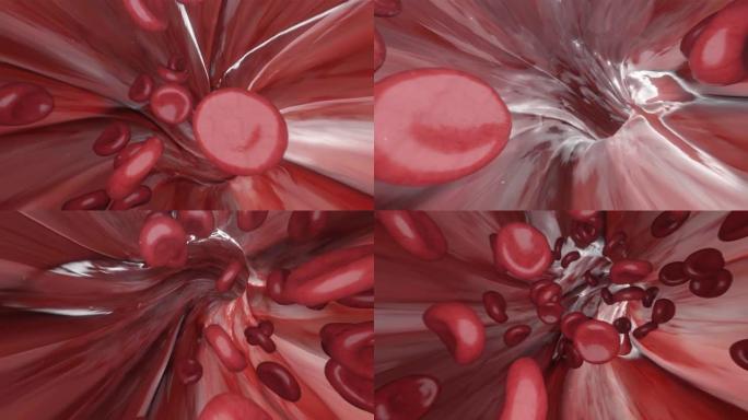 人血管内红色血流细胞的运动