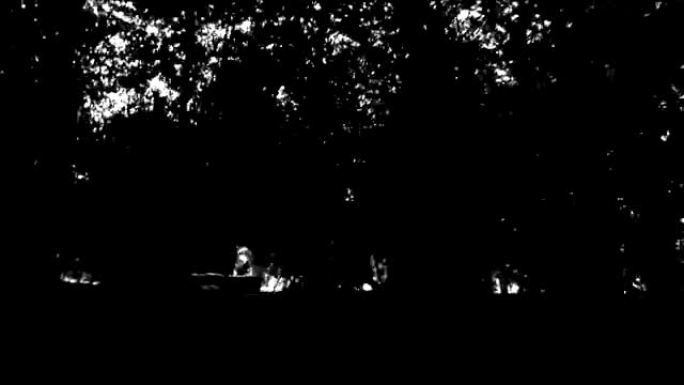 黑暗恐怖恐怖黑白照片穿过树木