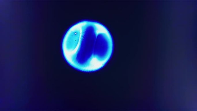 漂浮在空间合并背景中的两个蓝色细胞液滴