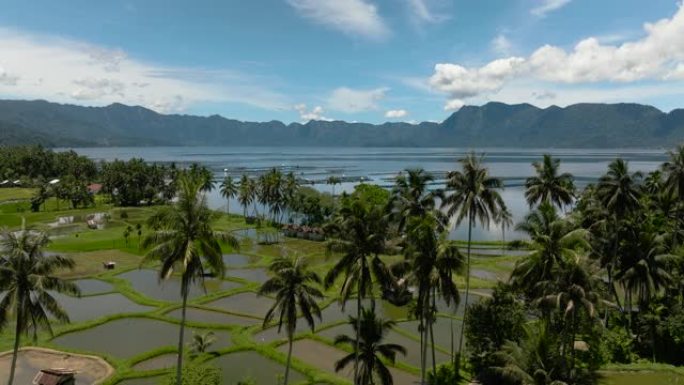 农田和曼尼瑙山湖。印度尼西亚苏门答腊。