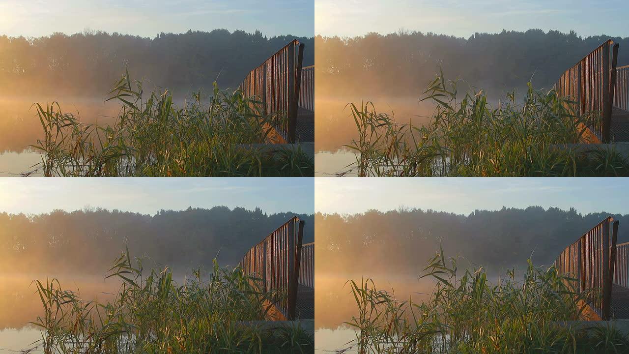 日出时生锈的桥