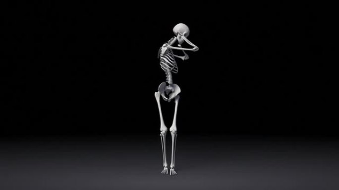 伸展和锻炼人体骨骼系统