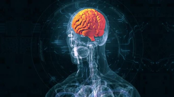 人脑解剖学人体大脑医学动画视频素材