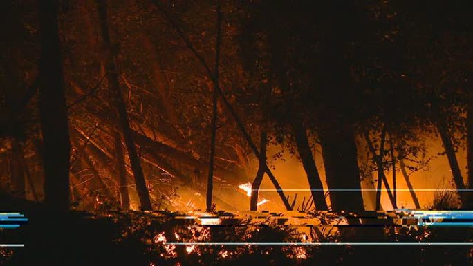 夜间森林大火