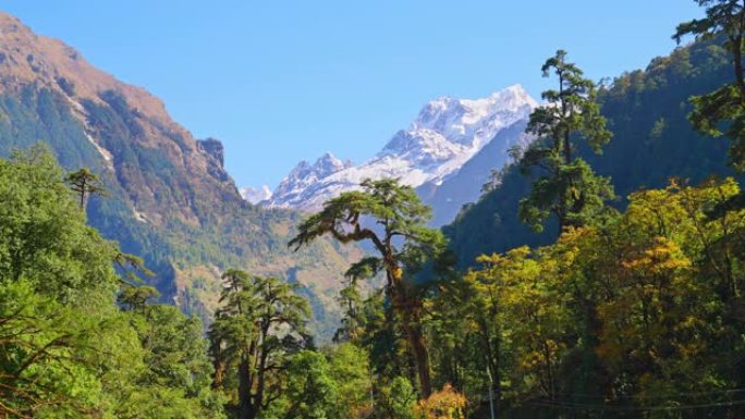 尼泊尔安纳普尔纳，远处白雪皑皑的喜马拉雅山美丽的山林景观视差