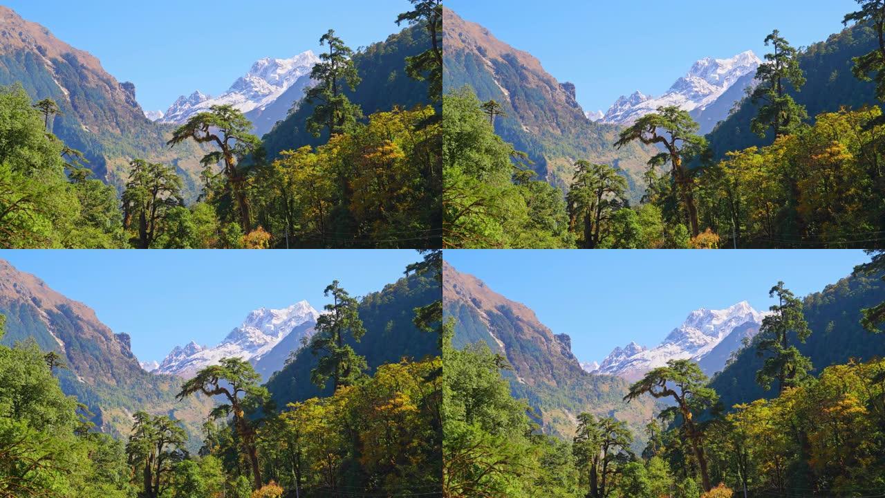 尼泊尔安纳普尔纳，远处白雪皑皑的喜马拉雅山美丽的山林景观视差