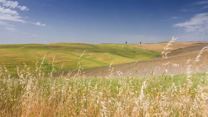 雄伟的托斯卡纳风景，有绿色的山丘和金色的麦田