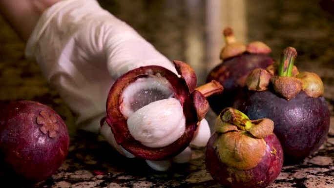 一只戴着白手套的女性手在周围扭转紫色热带水果山竹，以显示亚洲餐厅的内部内容泰国特定的美味水果