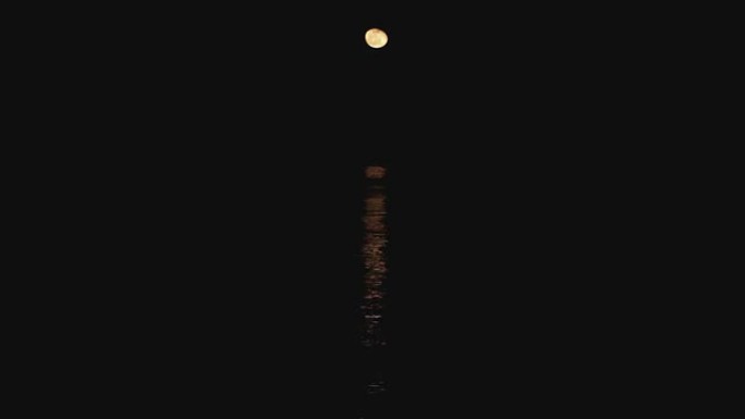 夜海和月亮