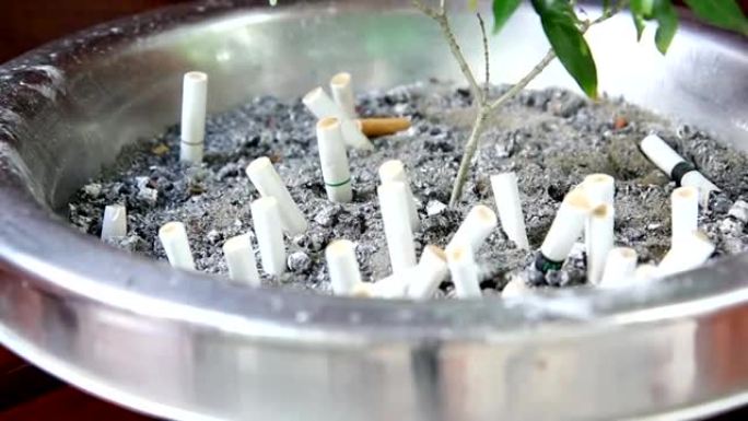 烟灰缸上生长的小树，禁烟概念