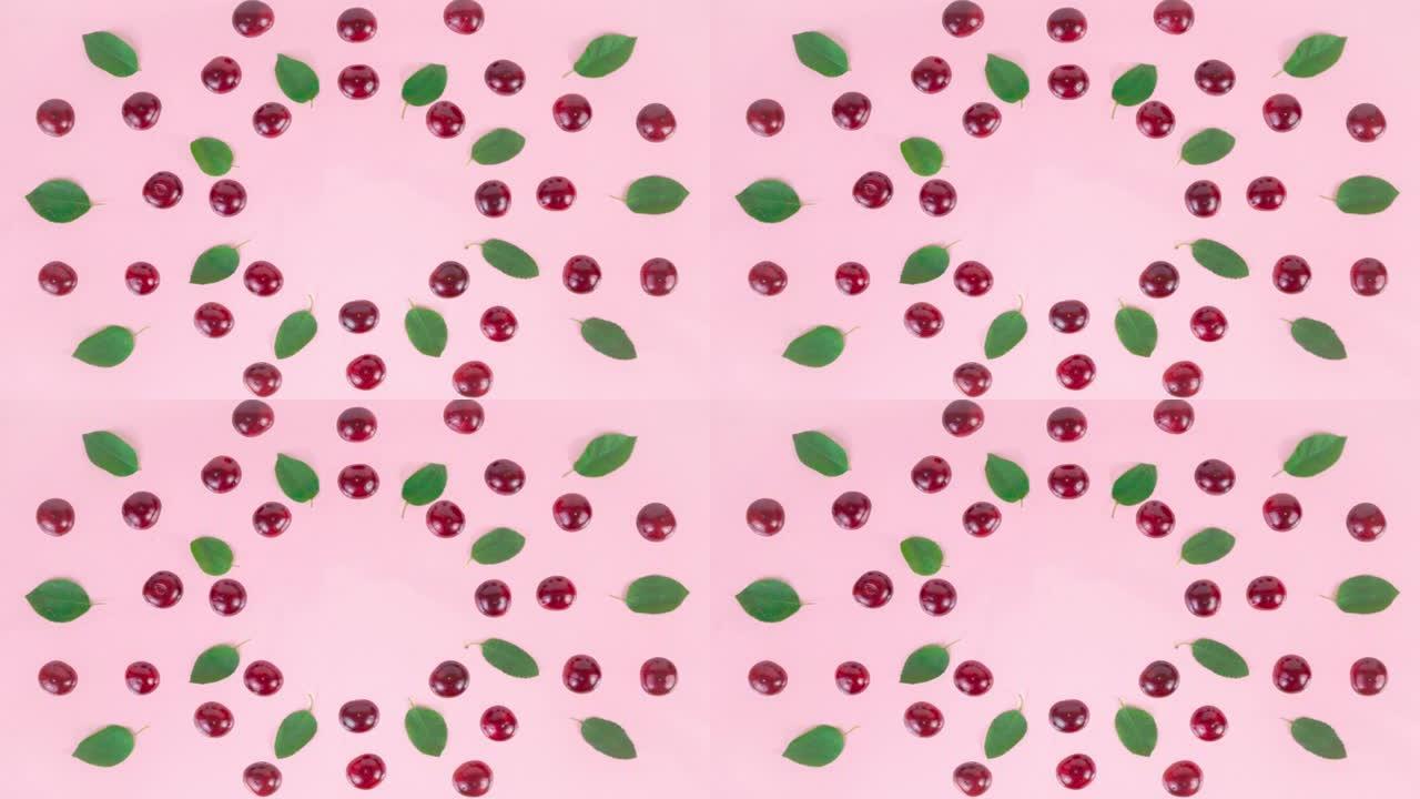 成熟的樱桃，蓝莓和绿叶排列在粉红色背景上。
