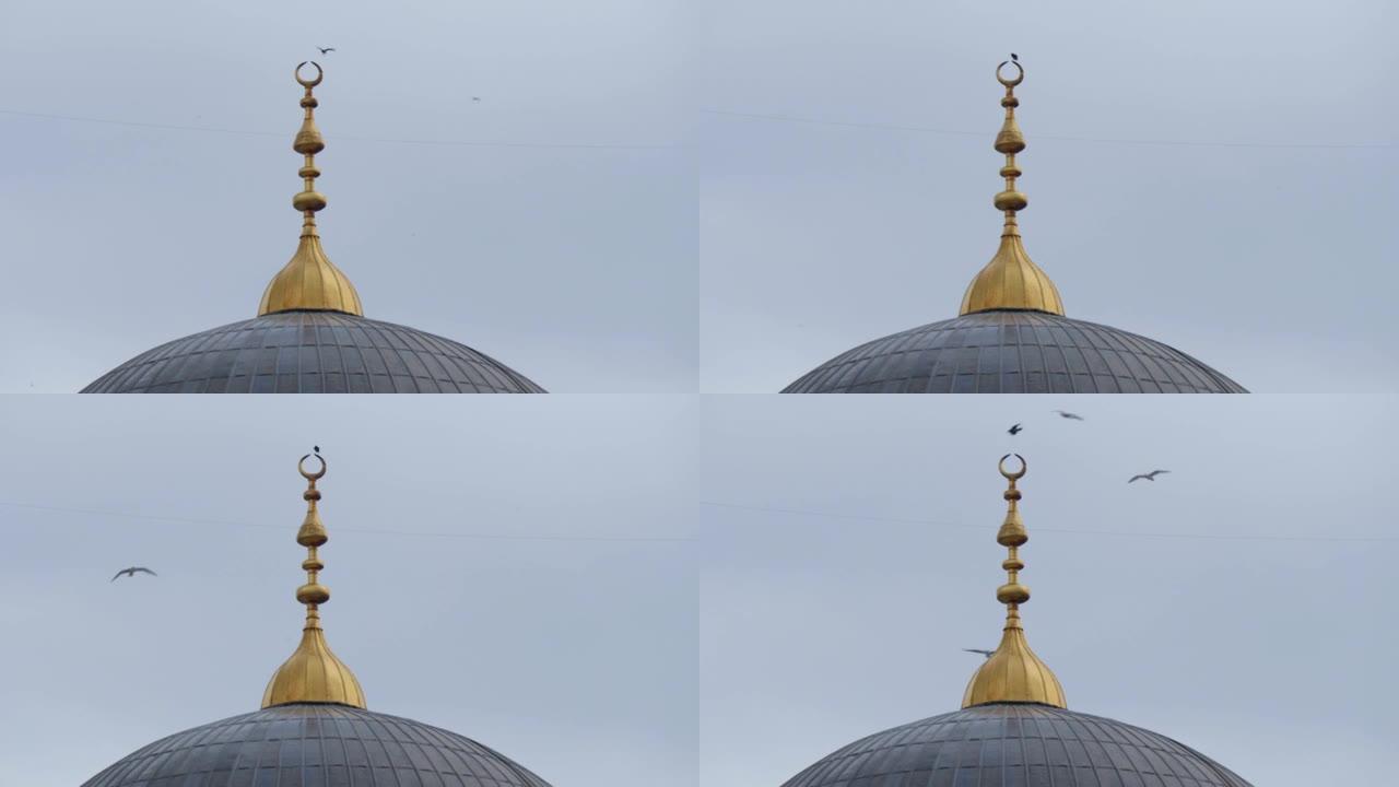 清真寺塔尖峰上的鸟
