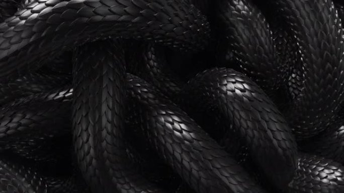 金属纹理龙鳞背景。活泼的盘绕黑蛇。交错蛇的3D抽象背景。爬行动物运动的特写。