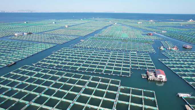 4K海水养殖