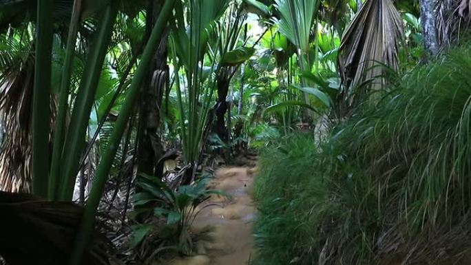 瓦莱德迈自然保护区的旅游步道
