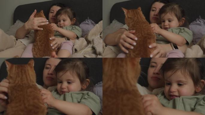 可爱的妈妈和女婴早上和猫在床上拥抱在一起。年轻单身女子和美丽女儿的幸福家庭。早上的例行公事。