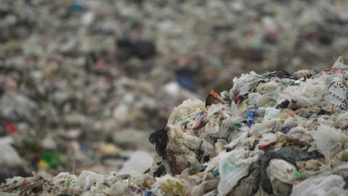 每天都有越来越多的装满塑料袋的垃圾被扔掉。