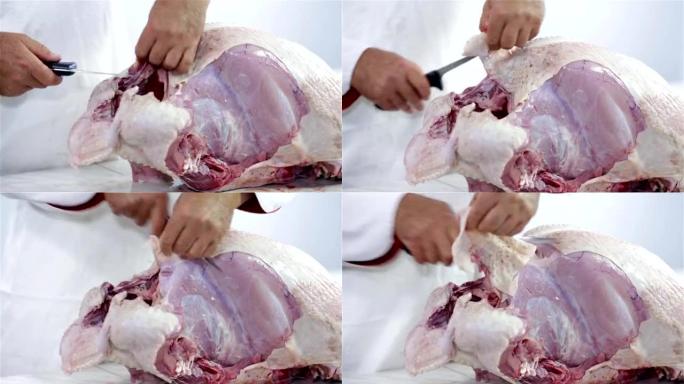 高清: 切火鸡肉的皮