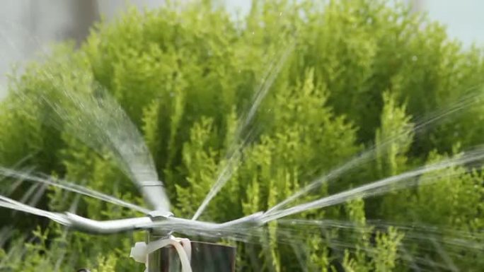 花园洒水系统