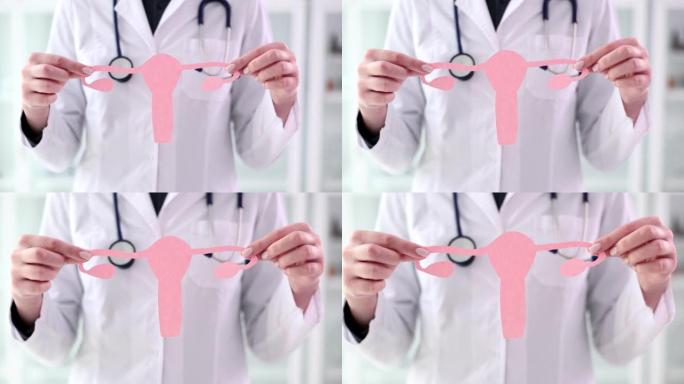 妇科医生持有粉红色纸的女性生殖器官模型