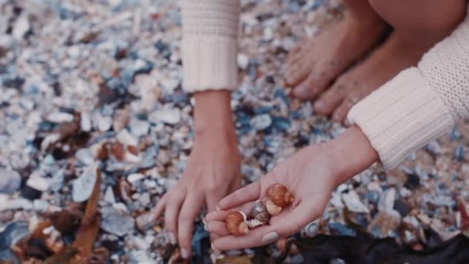 特写女人的手在海滩上收集贝壳，享受美丽的自然品种游客拿着贝壳
