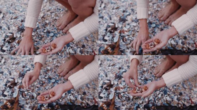 特写女人的手在海滩上收集贝壳，享受美丽的自然品种游客拿着贝壳