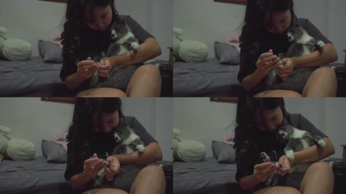 猫也喜欢剪指甲？猫也喜欢剪指甲
