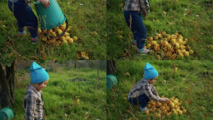 秋天和爷爷在花园里摘苹果的小快乐孩子。孩子和祖父的秋天花园和收获