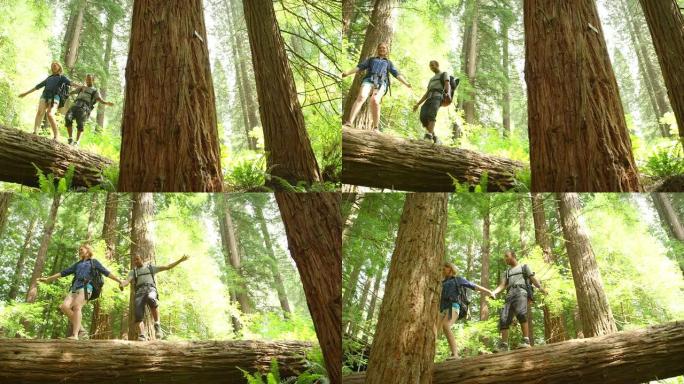 相机平移时，徒步旅行情侣在原木上保持平衡