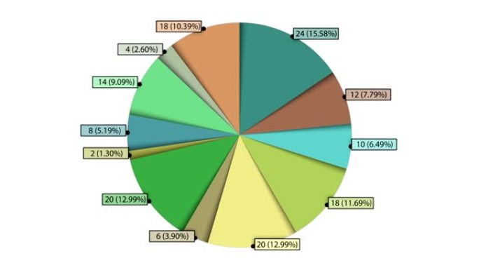 动画饼图，十二个部分。两个版本。哑光。