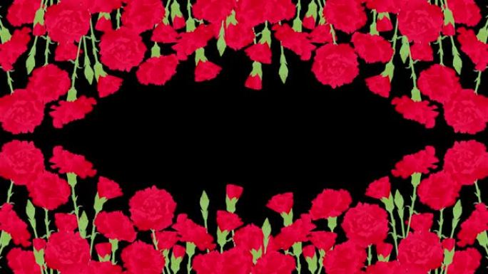 花框，红色康乃馨，母亲节。